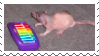 a stamp of a rat beside a very small toy xylophone